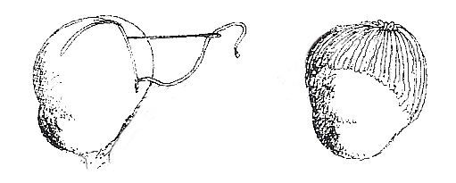 K&ouml;pfe f&uuml;r Puppen formen