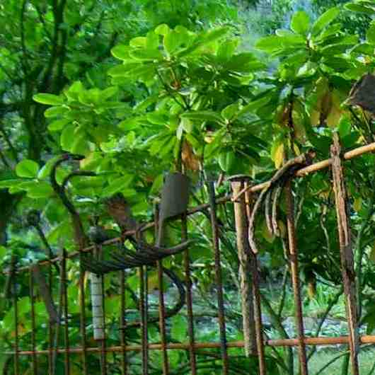 ausgebuddelte Sachen