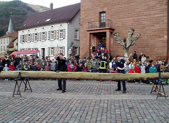beim Stamm durchhacken
